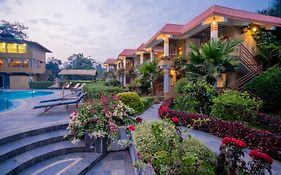 Hotel Jungle Crown
